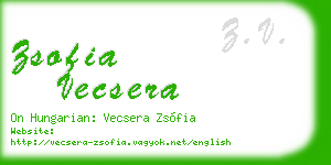 zsofia vecsera business card